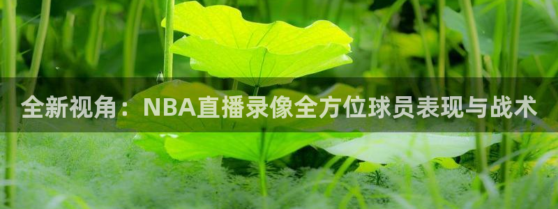 松鼠看球直播：全新视角：NBA直播录像全方位球员表现与战术