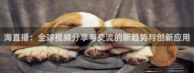 松鼠体育在线直播：海直播：全球视频分享与交流的新趋势与创新应用