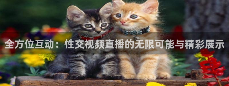 松鼠体育：全方位互动：性交视频直播的无限可能与精彩展示