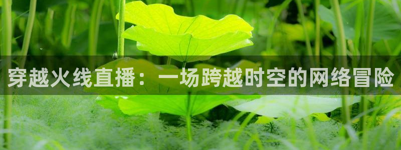 松鼠体育在线直播视频：穿越火线直播：一场跨越时空的网络冒险