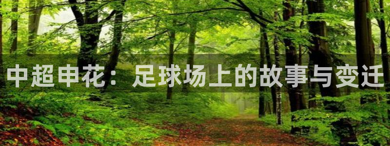 松鼠体育下载：中超申花：足球场上的故事与变迁