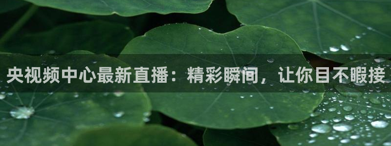 松鼠直播：央视频中心最新直播：精彩瞬间，让你目不暇接