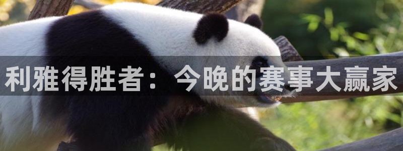 松鼠体育在线直播视频：利雅得胜者：今晚的赛事大赢家