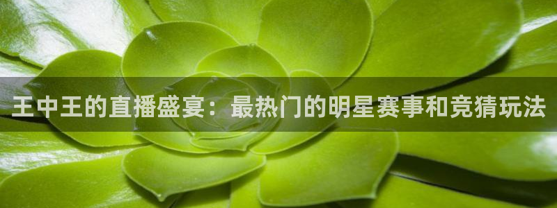 松鼠平台：王中王的直播盛宴：最热门的明星赛事和竞猜玩法
