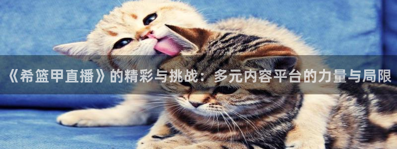 下载松鼠电视直播：《希篮甲直播》的精彩与挑战：多元内容平台的力量与局限