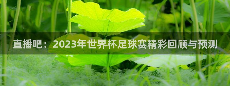 松鼠平台：直播吧：2023年世界杯足球赛精彩回顾与预测