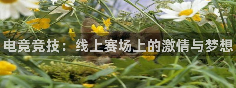 松鼠体育在线直播：电竞竞技：线上赛场上的激情与梦想