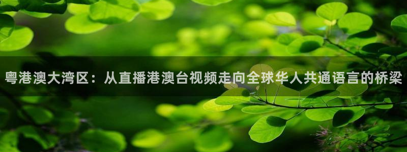 松鼠看球直播：粤港澳大湾区：从直播港澳台视频走向全球华人共通语言的桥梁